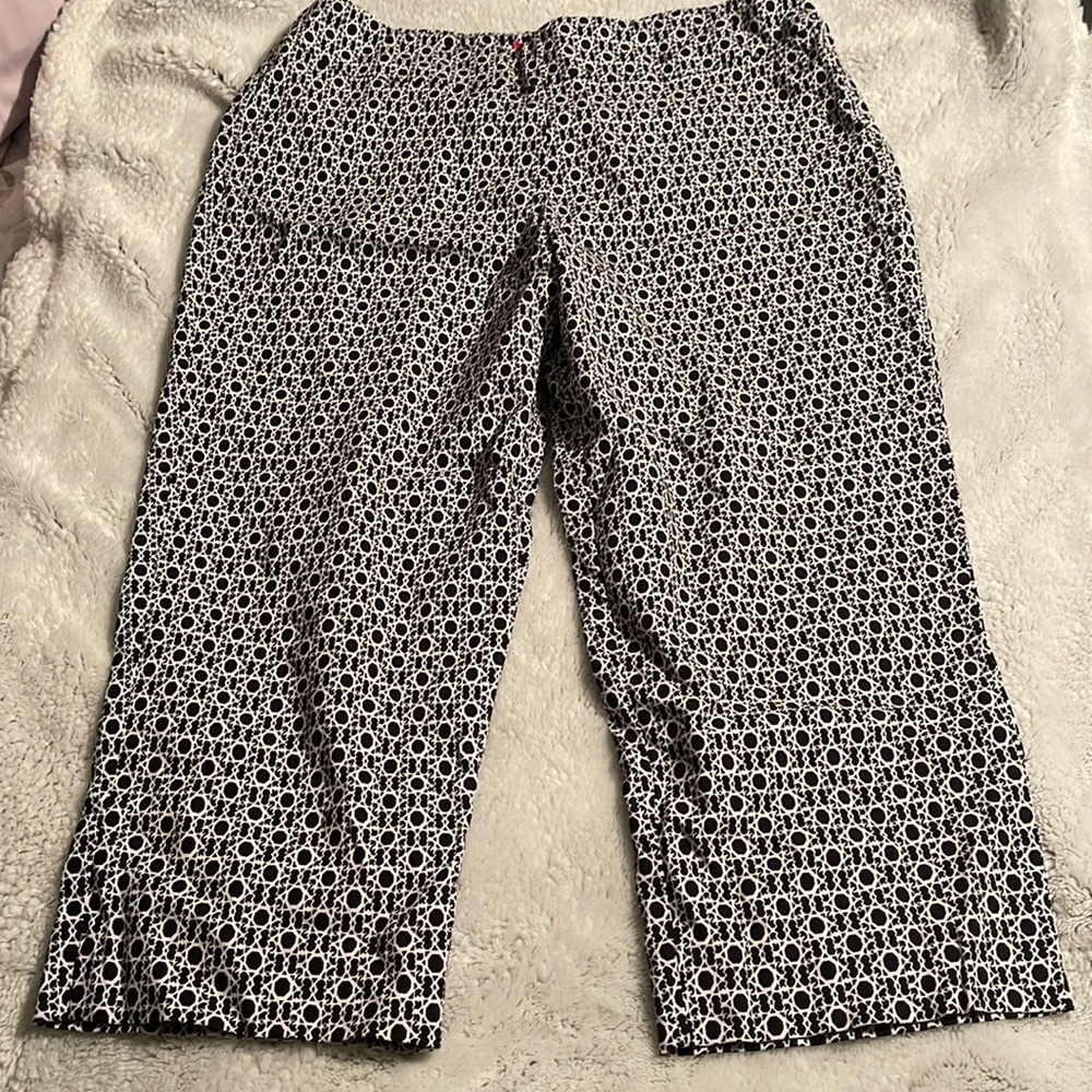 Krazy Larry Capri pants 10